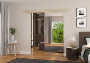 Двери для ниши с зеркалом ADRK Furniture Tess 96, дубовый цвет цена и информация | Шкафы | pigu.lt