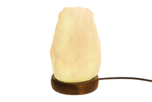 4Living настольная лампа из кристаллов соли Multicolor цена и информация | Настольные светильники | pigu.lt