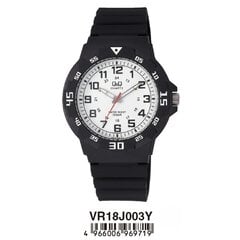 Laikrodis vyrams Q&Q VR18J003Y (Ø 43 mm) kaina ir informacija | Vyriški laikrodžiai | pigu.lt