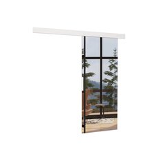 Двери для ниши с зеркалом ADRK Furniture Tess 96, белые цена и информация | Шкафы | pigu.lt