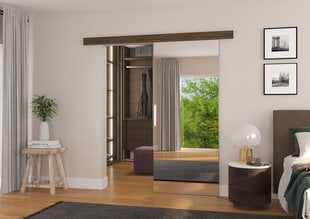 Двери для ниши с зеркалом ADRK Furniture Tess 86, коричневые цена и информация | Шкафы | pigu.lt