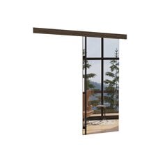 Двери для ниши с зеркалом ADRK Furniture Tess 86, коричневые цена и информация | Шкафы | pigu.lt