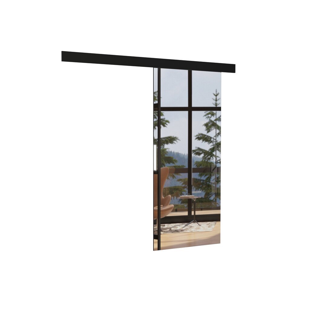 Durys nišai su veidrodžiu ADRK Furniture Tess 96, juodos kaina ir informacija | Spintos | pigu.lt