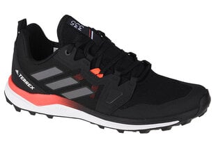 Кеды мужские Adidas Terrex Agravic Trail FX6859 цена и информация | Кроссовки для мужчин | pigu.lt