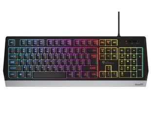 Genesis Rhod 300 RGB Gaming keyboard, RG цена и информация | Клавиатуры | pigu.lt