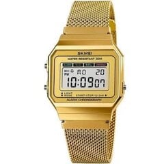 Часы SKMEI 1639  цена и информация | Мужские часы | pigu.lt
