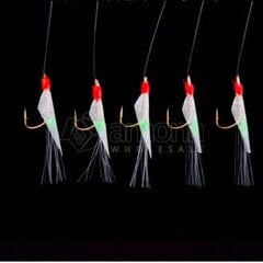 Sistema Imax Sabiki 2 Herring 0.30/0 40mm 5 hooks 10 kaina ir informacija | Kiti žvejybos reikmenys | pigu.lt