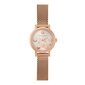 Moteriškas laikrodis Pierre Cardin CCM.0501 цена и информация | Moteriški laikrodžiai | pigu.lt