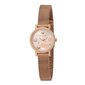 Moteriškas laikrodis Pierre Cardin CCM.0501 kaina ir informacija | Moteriški laikrodžiai | pigu.lt