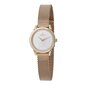 Moteriškas laikrodis Pierre Cardin CPI.2502 цена и информация | Moteriški laikrodžiai | pigu.lt