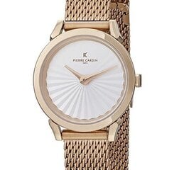 Moteriškas laikrodis Pierre Cardin CPI.2502 kaina ir informacija | Moteriški laikrodžiai | pigu.lt