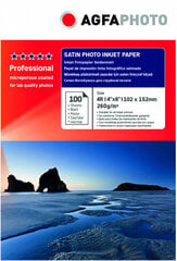 Agfaphoto фотобумага 10x15 Professional Satin 260 г 100 листов цена и информация | Kanceliarinės prekės | pigu.lt