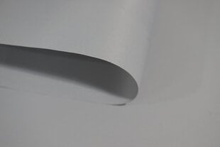 Ролет Mini Decor D 22 СЕРЫЙ, 50x150 см цена и информация | Рулонные шторы | pigu.lt