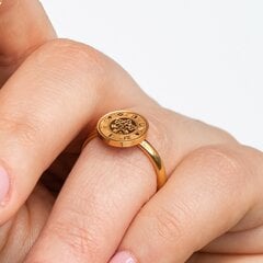 Серебряное позолоченное кольцо «Монета удачи» цена и информация | Кольцо | pigu.lt