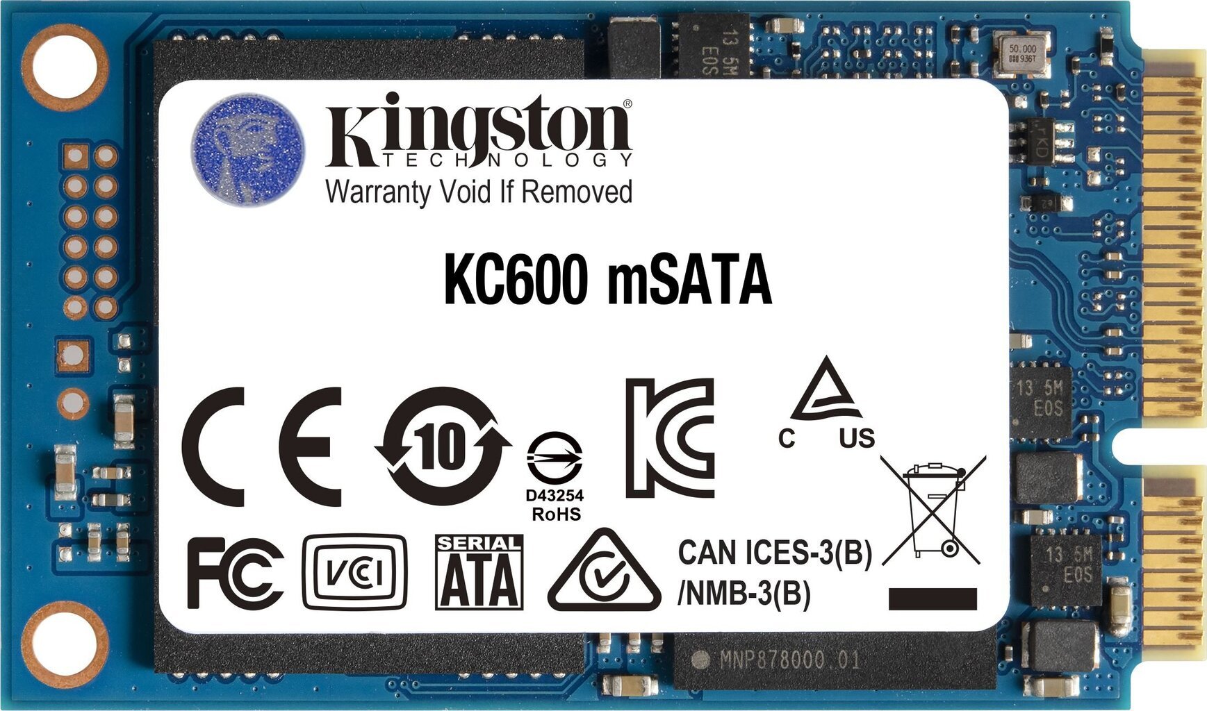 Kingston SKC600MS/256G цена и информация | Vidiniai kietieji diskai (HDD, SSD, Hybrid) | pigu.lt