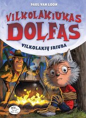 Vilkolakiukas Dolfas. Vilkolakių sriuba цена и информация | Книги для детей | pigu.lt