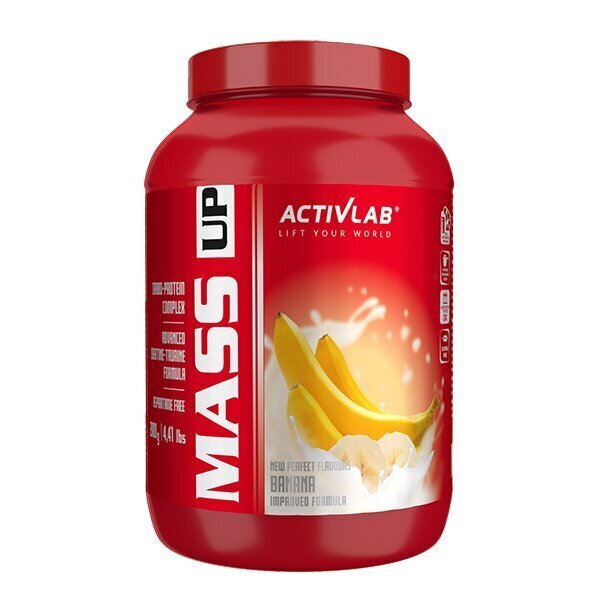 ActivLab Mass Up 2 kg. kaina ir informacija | Papildai ir preparatai masei auginti | pigu.lt