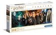 Dėlionė Clementoni Panorama Haris Poteris/Harry Potter, 61883, 1000 d. цена и информация | Dėlionės (puzzle) | pigu.lt