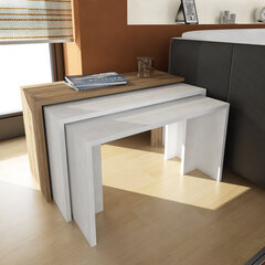 3-jų kavos staliukų komplektas Kalune Design 756, baltas/rudas kaina ir informacija | Kavos staliukai | pigu.lt