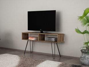 ТВ столик Kalune Design 756, 120 см, коричневый цена и информация | Тумбы под телевизор | pigu.lt