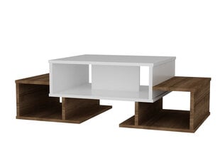 Кофейный столик Kalune Design 756, белый/коричневый цена и информация | Журнальные столики | pigu.lt