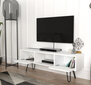 TV staliukas Kalune Design 756(II), 120 cm, baltas kaina ir informacija | TV staliukai | pigu.lt