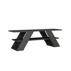 ТВ столик Kalune Design 776, 120 см, серый цена и информация | Тумбы под телевизор | pigu.lt