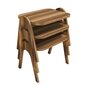 3-jų kavos staliukų komplektas Kalune Design 845(I), rudas kaina ir informacija | Kavos staliukai | pigu.lt