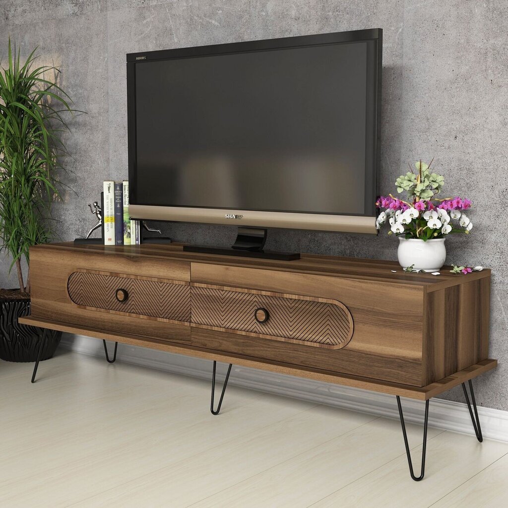 TV staliukas Kalune Design 845,145 cm, rudas kaina ir informacija | TV staliukai | pigu.lt