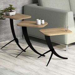 3-jų kavos staliukų komplektas Kalune Design 845, rudas/juodas kaina ir informacija | Kavos staliukai | pigu.lt