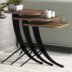 3-jų kavos staliukų komplektas Kalune Design 845(I), tamsiai rudas/juodas kaina ir informacija | Kavos staliukai | pigu.lt