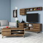 Svetainės baldų komplektas Kalune Design 845(XV), rudas kaina ir informacija | Sekcijos | pigu.lt
