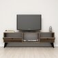 TV staliukas Kalune Design 389, 139 cm, ruda kaina ir informacija | TV staliukai | pigu.lt