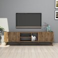 TV staliukas Kalune Design 389, 180 cm, rudas