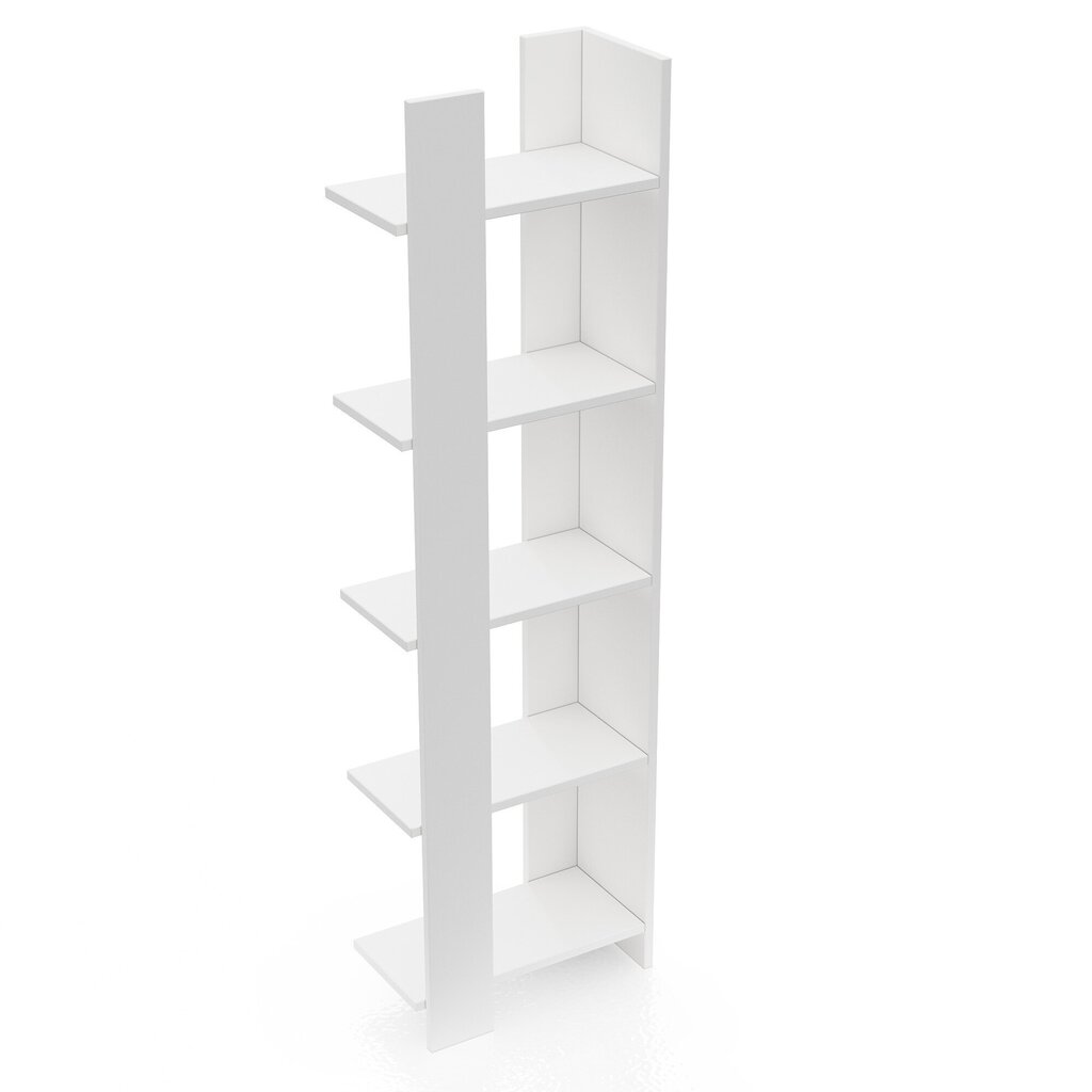 Pastatoma lentyna Kalune Design Bookshelf 598, 45 cm, balta kaina ir informacija | Lentynos | pigu.lt