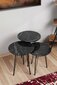 3-jų kavos staliukų komplektas Kalune Design 562, pilkas/juodas kaina ir informacija | Kavos staliukai | pigu.lt