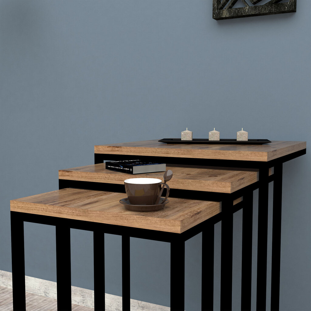 3-jų kavos staliukų komplektas Kalune Design 835, rudas/juodas kaina ir informacija | Kavos staliukai | pigu.lt