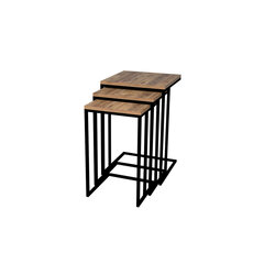 3-jų kavos staliukų komplektas Kalune Design 835, rudas/juodas kaina ir informacija | Kavos staliukai | pigu.lt