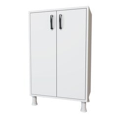 Шкафчик Kalune Design 893 (I), 62,6 см, белый цена и информация | Шкафчики в гостиную | pigu.lt