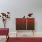 Komoda Kalune Design Dresser 3445, ąžuolo spalvos/raudona kaina ir informacija | Komodos | pigu.lt