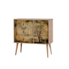 Комод Kalune Design Dresser 3412, цвета дуба/разноцветный цена и информация | Комоды | pigu.lt