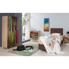 Шкаф Kalune Design Wardrobe 863 (л) 90 см, цвет дуба / разноцветные оттенки цена и информация | Шкафы | pigu.lt