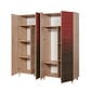 Spinta Kalune Design Wardrobe 869 (V), 180 cm, ąžuolo spalva/raudona цена и информация | Spintos | pigu.lt