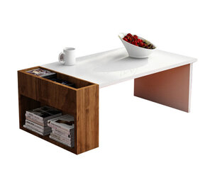 Кофейный столик Kalune Design 745(I), белый/коричневый цена и информация | Журнальные столики | pigu.lt