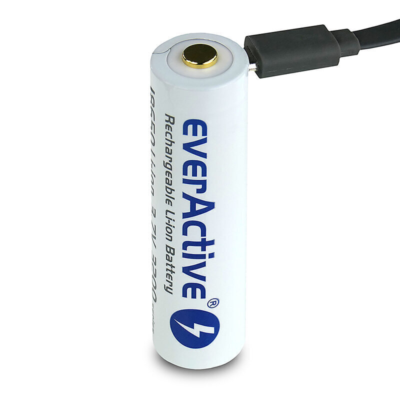 everActive USB įkraunamas akumuliatorius su PCM 18650 3200mAh цена и информация | Elementai | pigu.lt