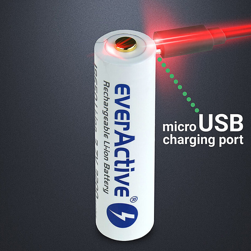 everActive USB įkraunamas akumuliatorius su PCM 18650 3200mAh цена и информация | Elementai | pigu.lt