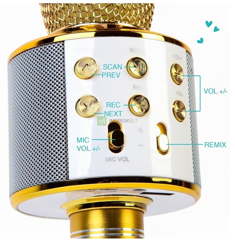 Mikrofonas Karaoke WS-858 kaina ir informacija | Mikrofonai | pigu.lt