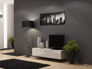 TV staliukas Cama Meble Vigo, 30x140x40 cm, baltas kaina ir informacija | TV staliukai | pigu.lt
