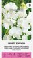 Kvapieji pelėžirniai White ensign kaina ir informacija | Gėlių sėklos | pigu.lt
