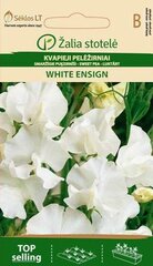 Душистый горошек White ensign цена и информация | Семена цветов | pigu.lt